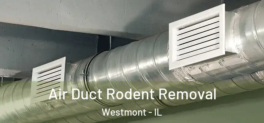 Air Duct Rodent Removal Westmont - IL