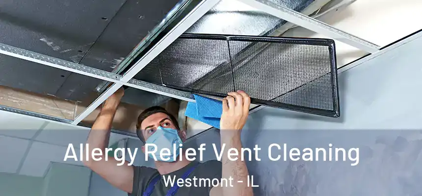 Allergy Relief Vent Cleaning Westmont - IL