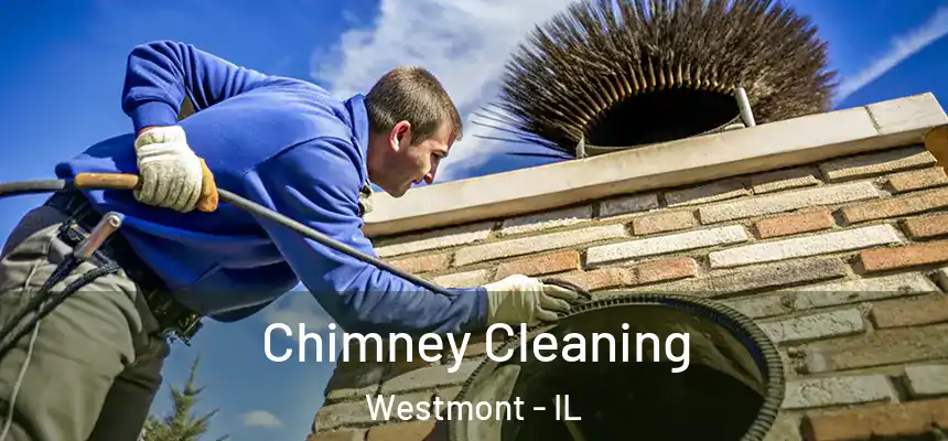  Chimney Cleaning Westmont - IL