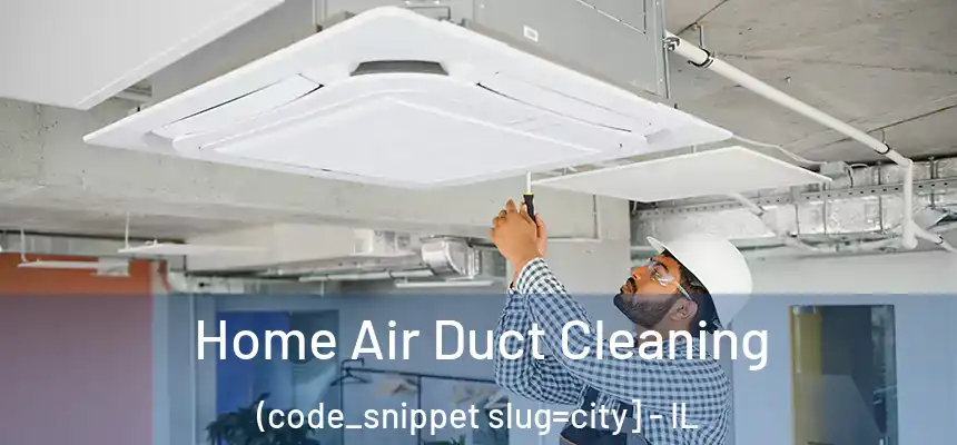  Home Air Duct Cleaning (code_snippet slug=city] - IL