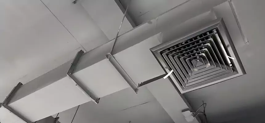 Our Rodent Droppings In Vents Services in Westmont, IL