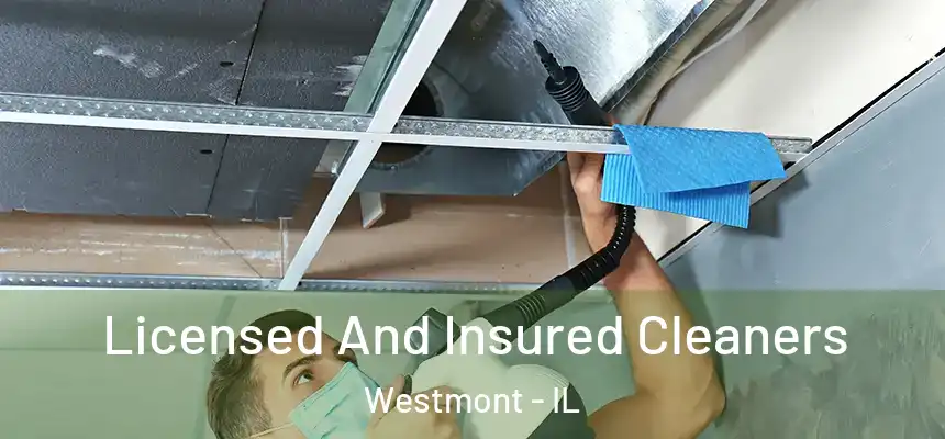  Licensed And Insured Cleaners Westmont - IL