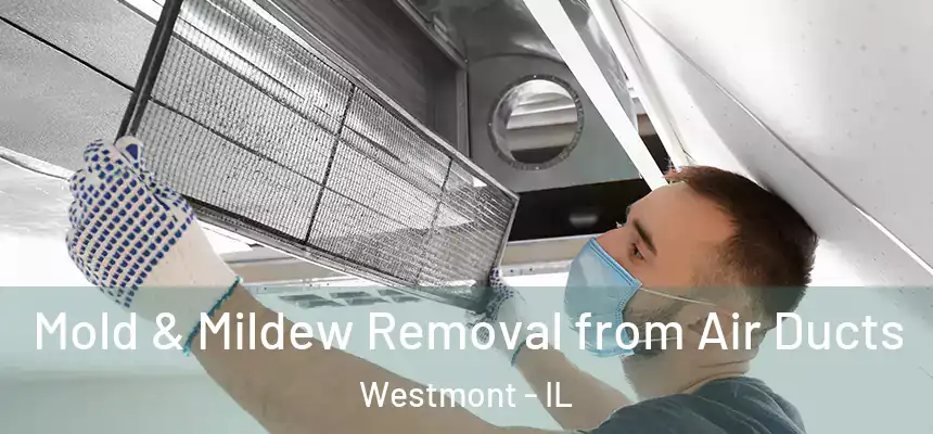 Mold & Mildew Removal from Air Ducts Westmont - IL