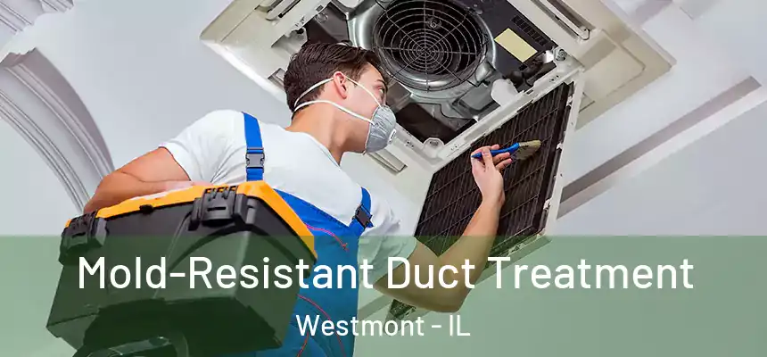 Mold-Resistant Duct Treatment Westmont - IL