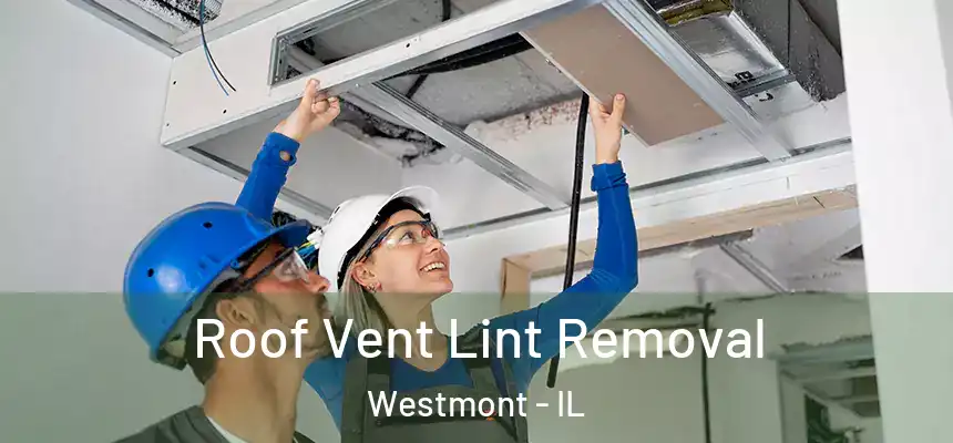 Roof Vent Lint Removal Westmont - IL