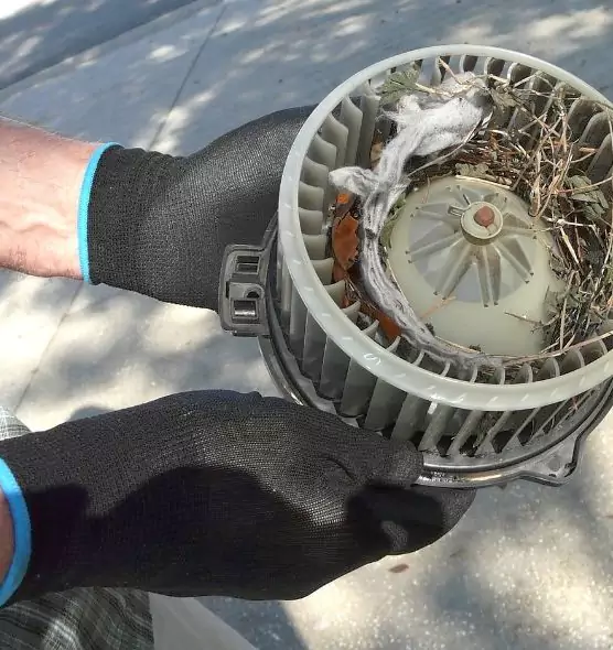 About Air Duct Rat Removal in Westmont, IL