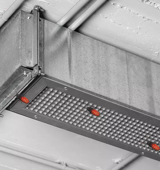 Affordable Insect Removal from Air Ducts in Westmont, IL
