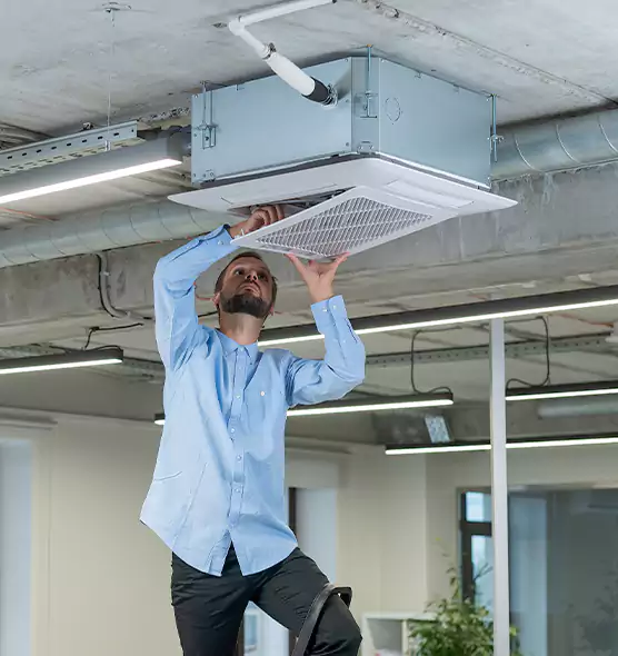 Advanced Rodent Droppings In Vents in Westmont, IL