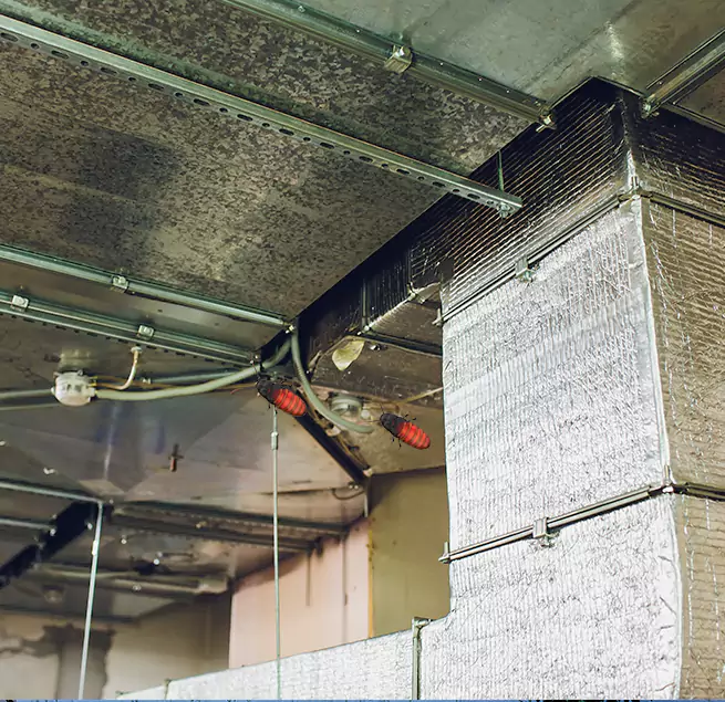 Why Homeowners & Businesses Trust Us Westmont, IL?